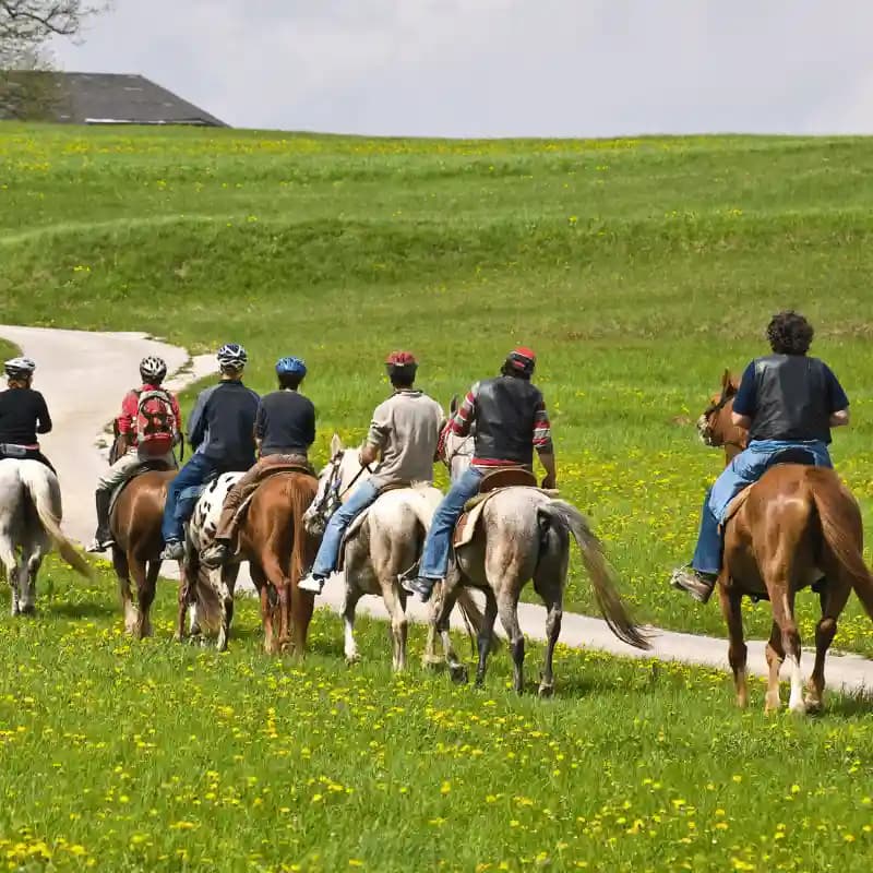 Trail Riding