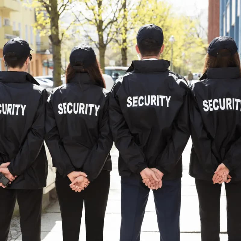 Security Companies