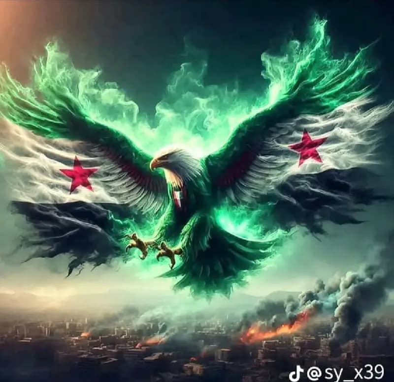 النور للألمينيوم
