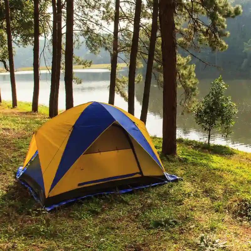 Camping and Trips