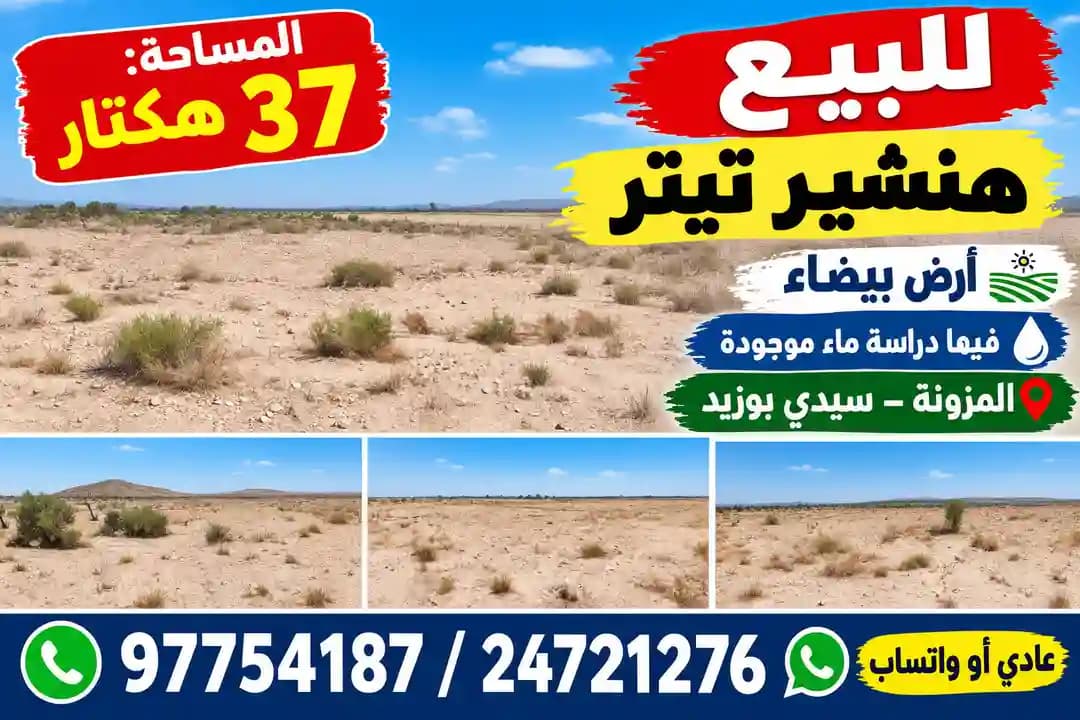 أرض